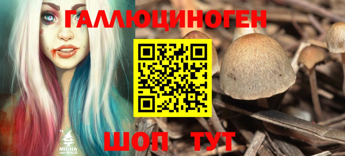 наркошоп  Вход с VPN  Галлюциногенные грибы Psilocybine cubensis  Орехово-Зуево  Галлюциногенные грибы мицелий 